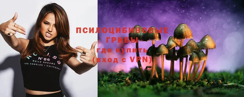 Псилоцибиновые грибы Psilocybe  что такое   Грязи 